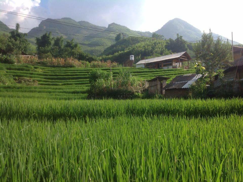 Luckydaisy Buffalo House ซาปา ภายนอก รูปภาพ